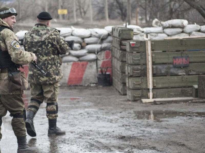 Reprodução Reprodução