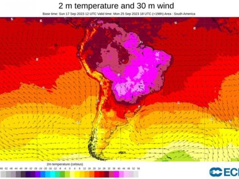 Reprodução Reprodução