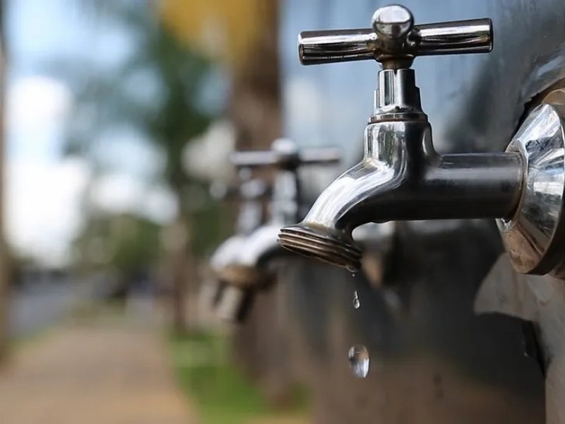 Divulgação Divulgação