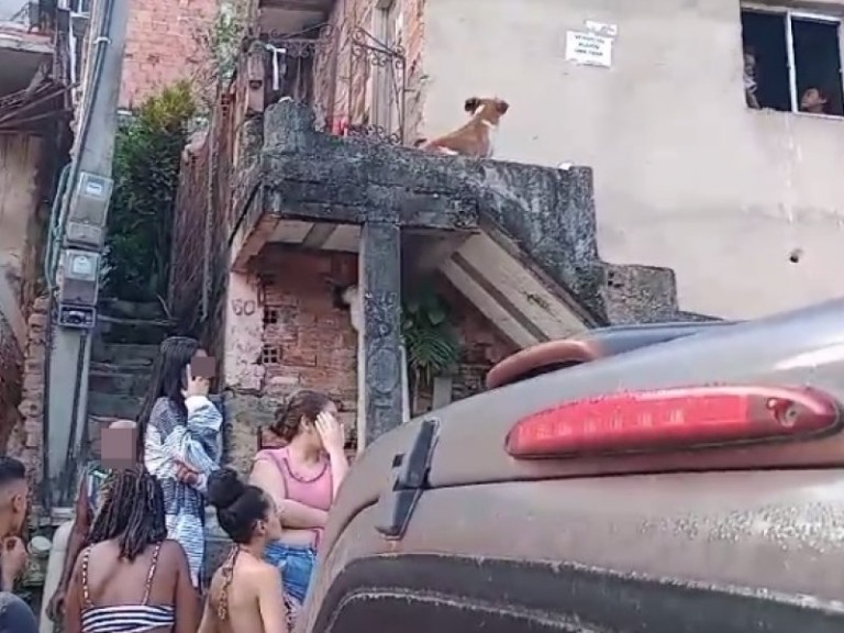 Paulinho FP - Portal Salvador FM Paulinho FP - Portal Salvador FM