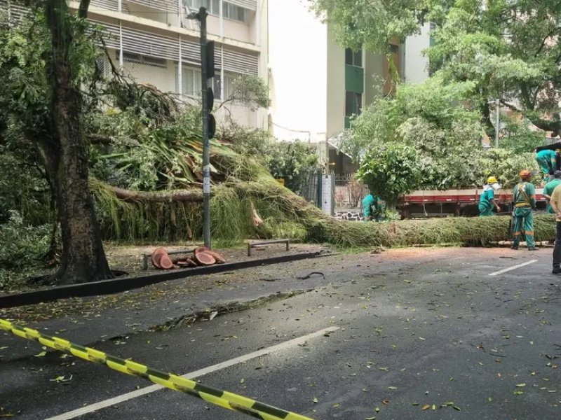 Divulgação/Codesal Divulgação/Codesal