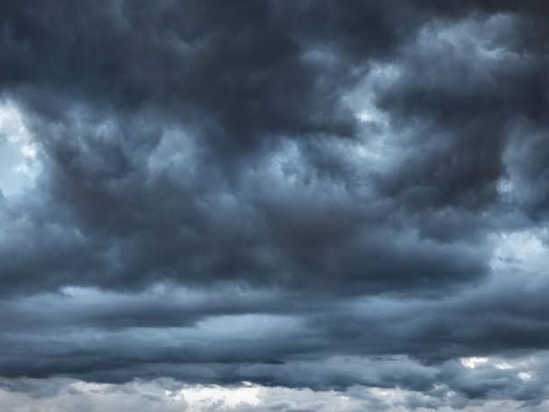 Divulgação Divulgação