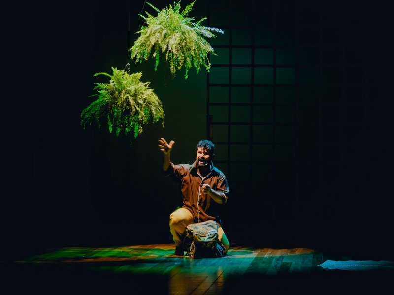 Divulgação Divulgação