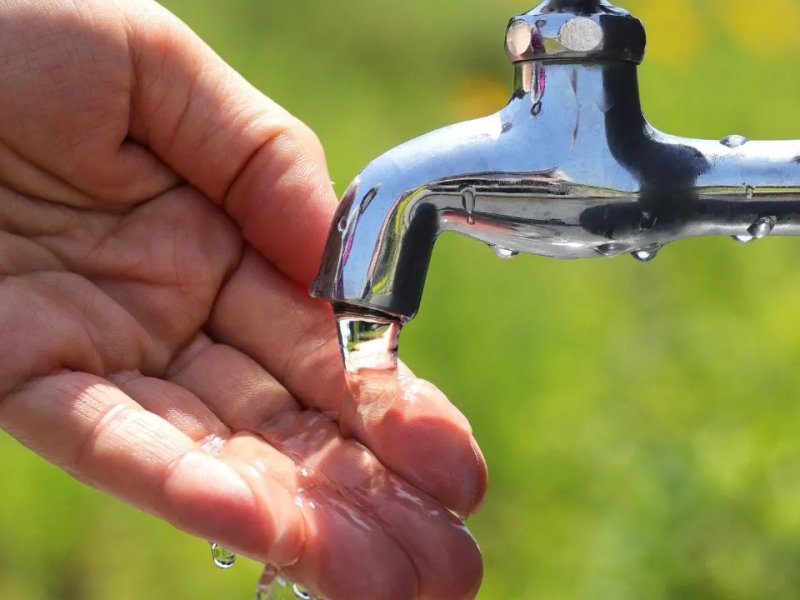 Reprodução Reprodução