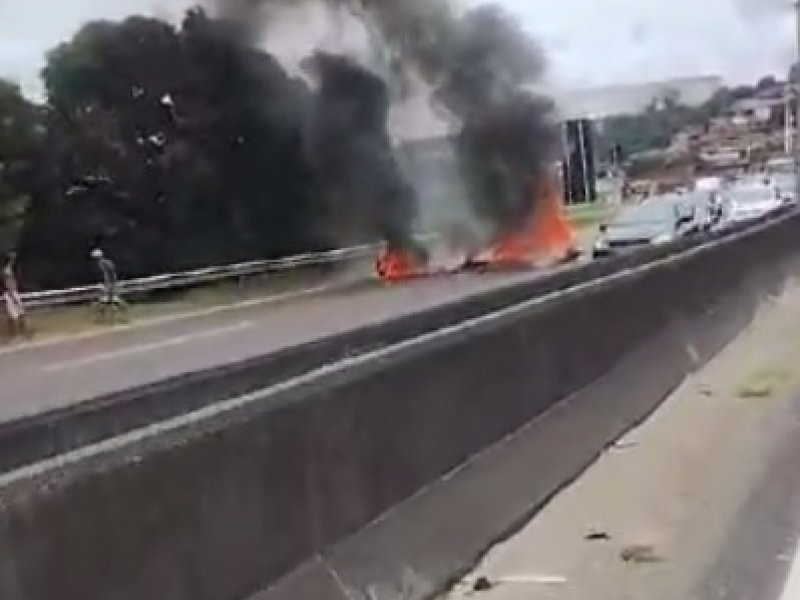 Reprodução Reprodução