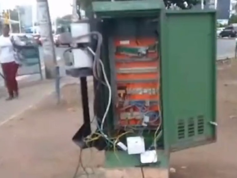 Reprodução X Reprodução X