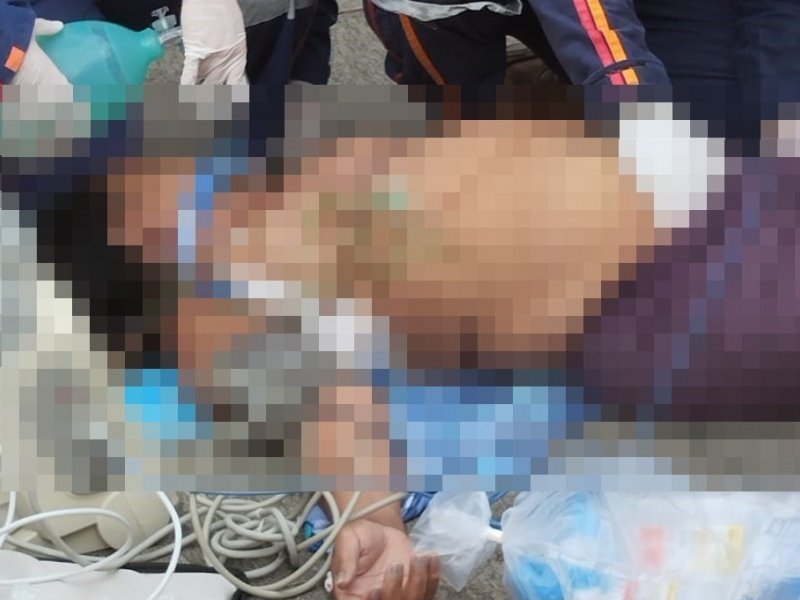 Reprodução Reprodução