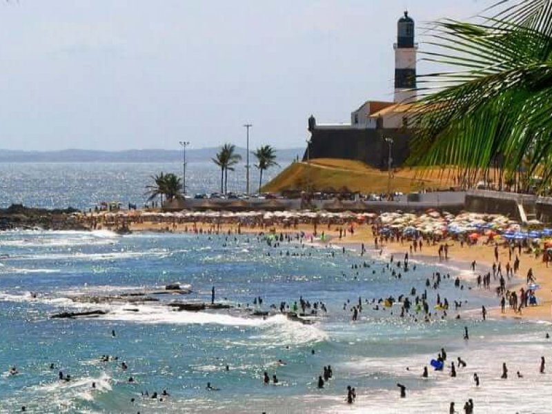 Reprodução Reprodução