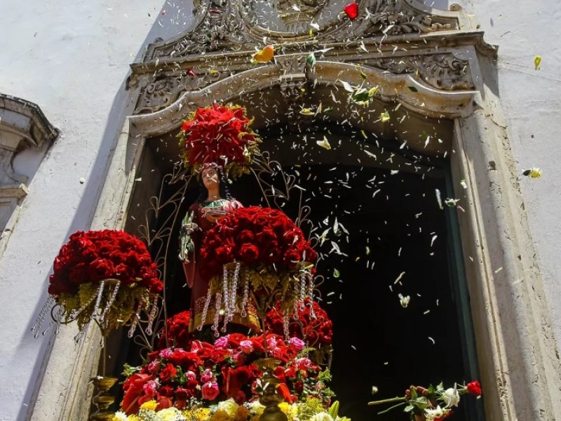 Amanda Oliveira Amanda Oliveira