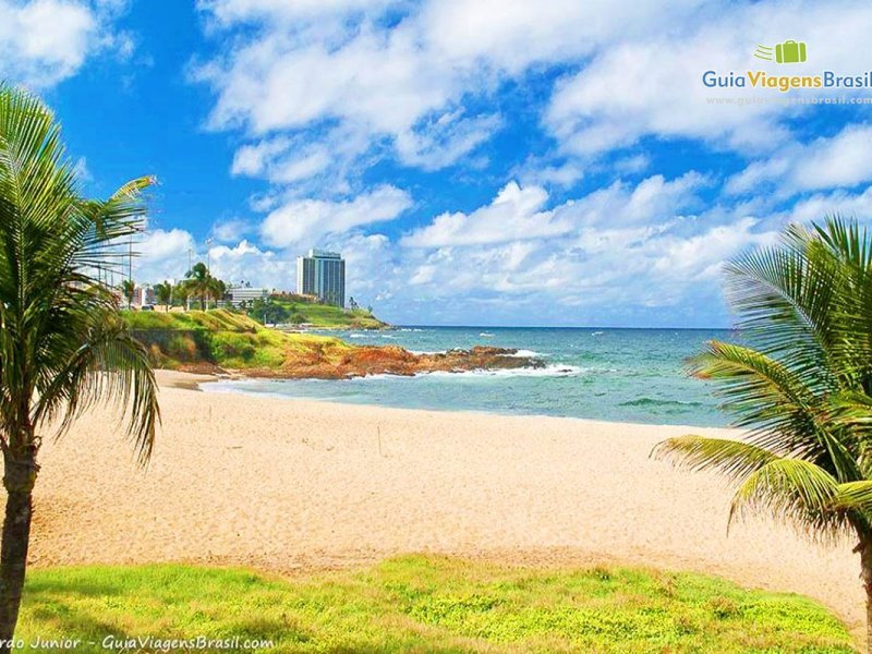 Divulgação Divulgação