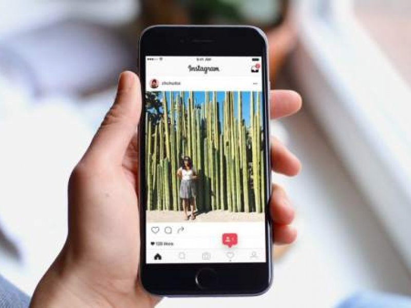 Divulgação Divulgação