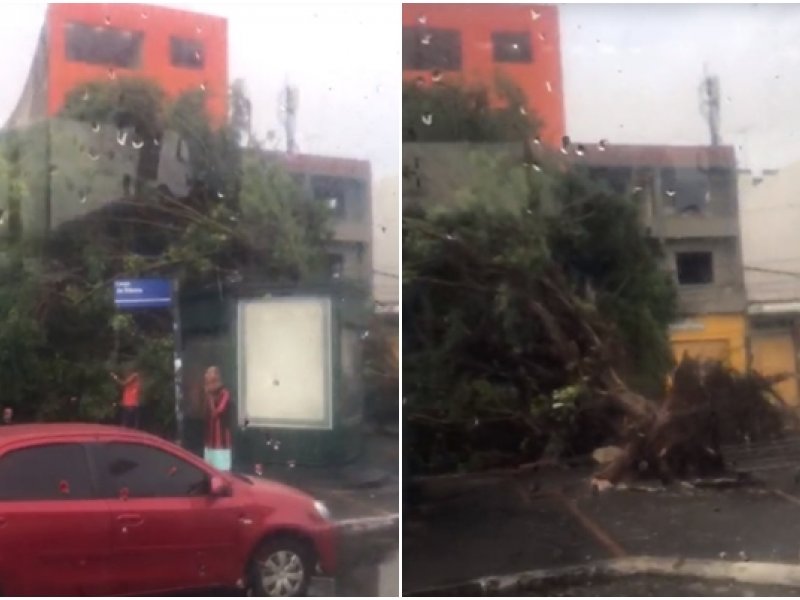 Reprodução Reprodução