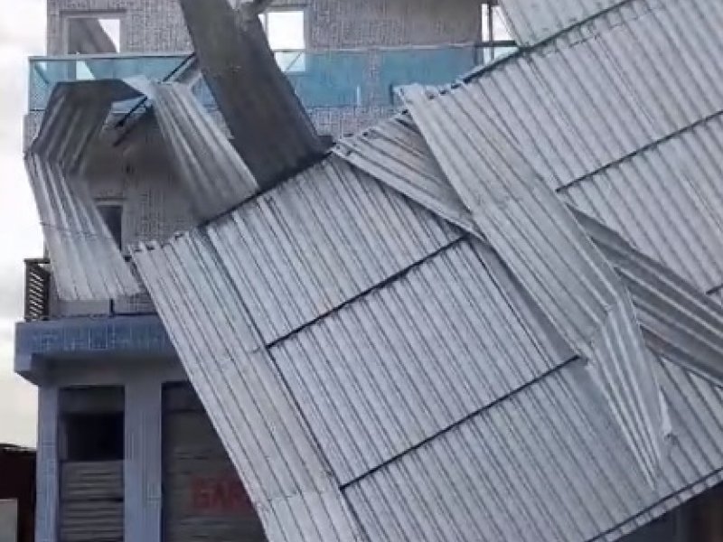 Reprodução Reprodução